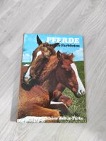 Buch Pferde mit 116 farbfotos aus dem Jahr 1976 Baden-Württemberg - Eberbach Vorschau
