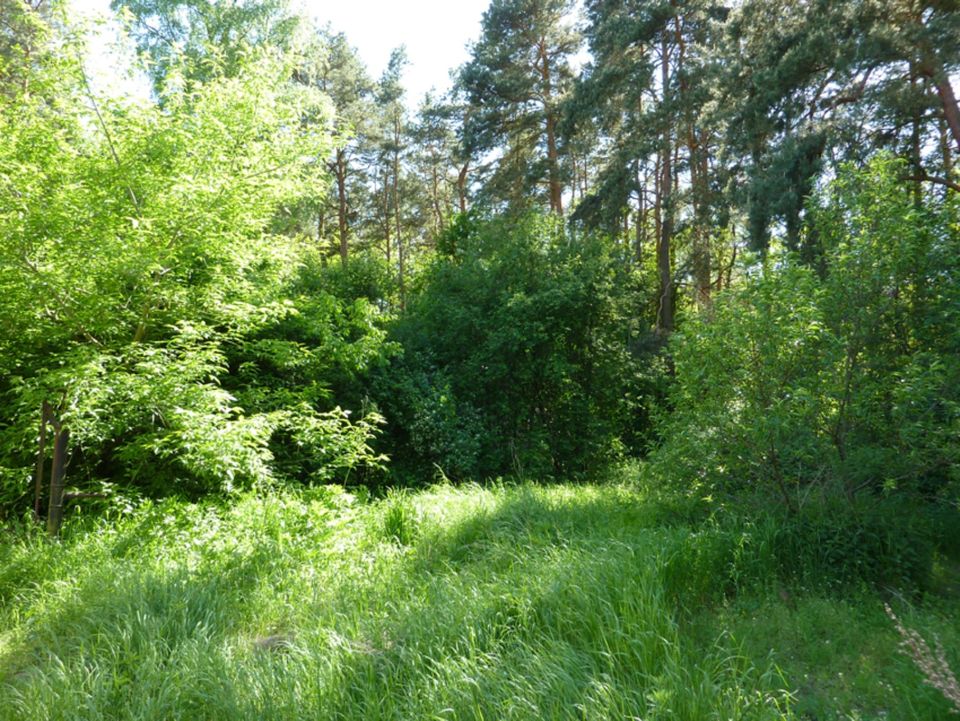 GARTEN LAUBE GRUNDSTÜCK BERLIN POTSDAM DATSCHE URLAUB BORKWALDE in Borkwalde