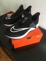 Air Zoom Pegasus Flyease 4E Hessen - Bruchköbel Vorschau