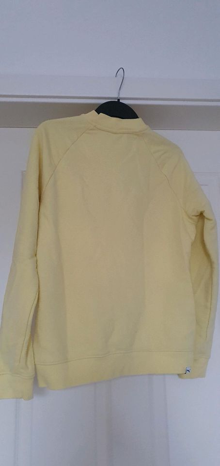 Damen Sweatpulli/-Shirt, Puma, Größe 38, gelb in Hohenlockstedt