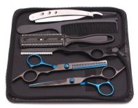 Scheren Set 6" NEU mit Etui Friseur Scheren Sachsen-Anhalt - Wernigerode Vorschau