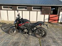 Motorrad Online Pista 125ccm Rheinland-Pfalz - Asbach Vorschau