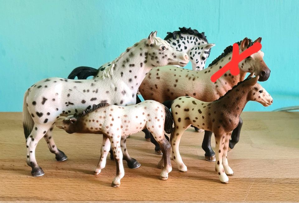 Schleich Knappstrupper Stuten Fohlen in Nürnberg (Mittelfr)