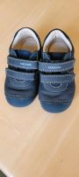 Geox Schuhe Größe 23 Bayern - Landshut Vorschau