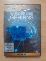 DVD - Wunder des Gehirns - Pflege/Medizin Hessen - Hanau Vorschau