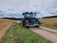 Mulchen, Maisstoppel, Lichtraumprofiel, Rapsstoppel, Wiese, Bayern - Pfeffenhausen Vorschau