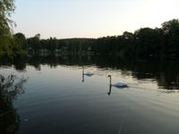 Wochenendhaus am See, Garten, Seegrundstück, Grundstück am See Brandenburg - Templin Vorschau