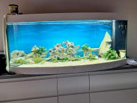 Aquarium Juvel Vision 450 liter Niedersachsen - Einbeck Vorschau