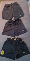 Shorts # Puma #Nike #BVB Dortmund - Marten Vorschau