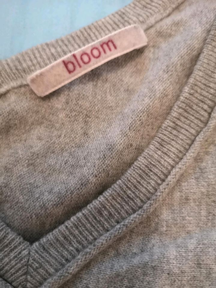 BLOOM Pullover, Kashmir, Wolle, Gr 38 in Sulzbach-Rosenberg