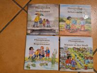 Flusspiraten Minibücher kleine Bücher Hochwasser Regenwasser Pixi Bayern - Mömbris Vorschau