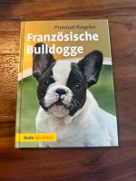 Französische Bulldogge Obervieland - Arsten Vorschau