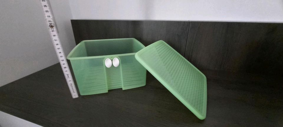 Tupperware Prima Klima 4,2 Liter Dose in Bischofsheim