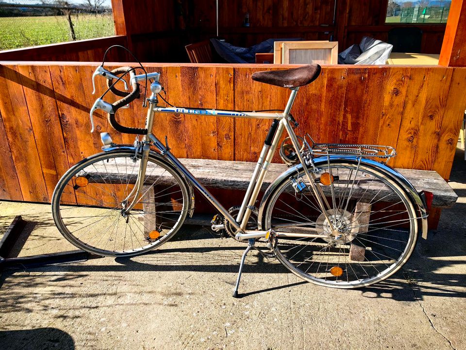 Peugeot Rennrad in Ludwigshafen