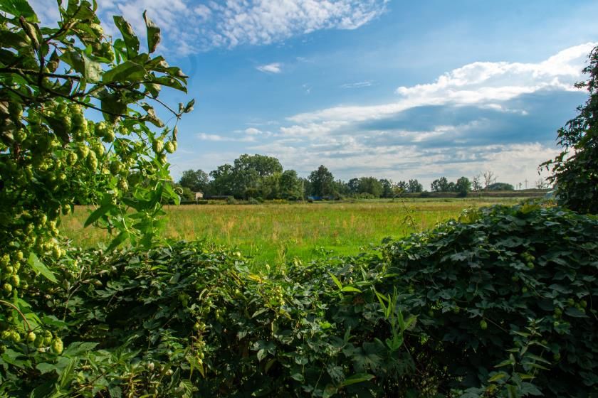 Baugrundstück für Ihre Hausideen mitten in Golm in Potsdam