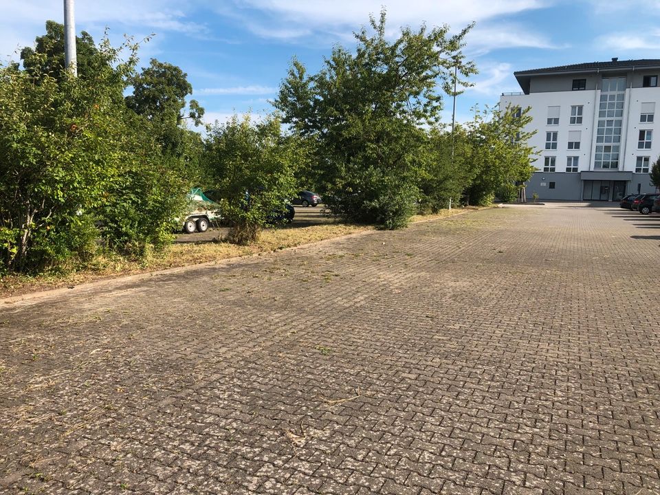 Hof Reinigung- Pflastersteine Reinigung- Terrassen Reinigung in Meckenbeuren