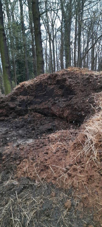 Pferdemist, Dung, Pferdeäpfel, Dünger an Selbstabholer in Spremberg