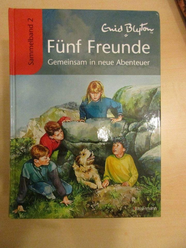 Fünf Freunde Sammelbände 1-7 in Burghausen