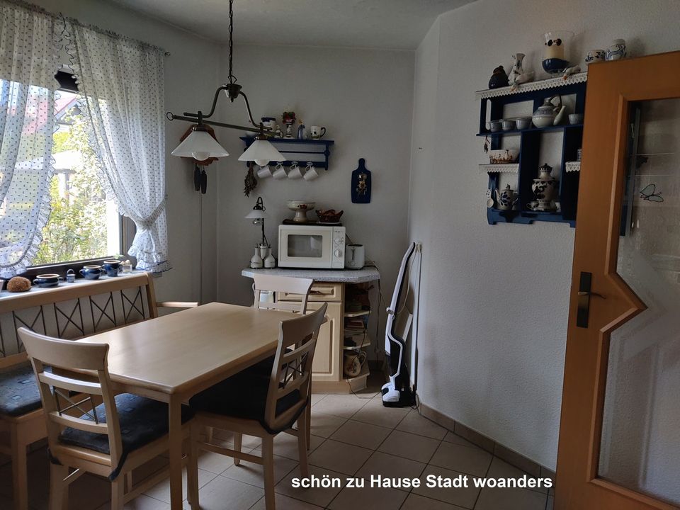 Modernes Einfamilienhaus mit Südterrasse und Sonnengarten im Urlaubsparadies Lausitzer Seenland in Spremberg
