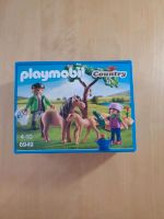 Playmobil Ponymama mit Fohlen 6949 Rheinland-Pfalz - Ochtendung Vorschau