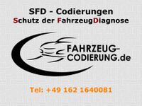 SFD Codierung Golf 8, Octavia 4, Enyaq, Formentor, Audi A3 8Y,ID3 Baden-Württemberg - Mühlacker Vorschau