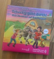 Ting Lesebuch - Schecky geht durch Pony Erstlesebuch Sachsen - Chemnitz Vorschau