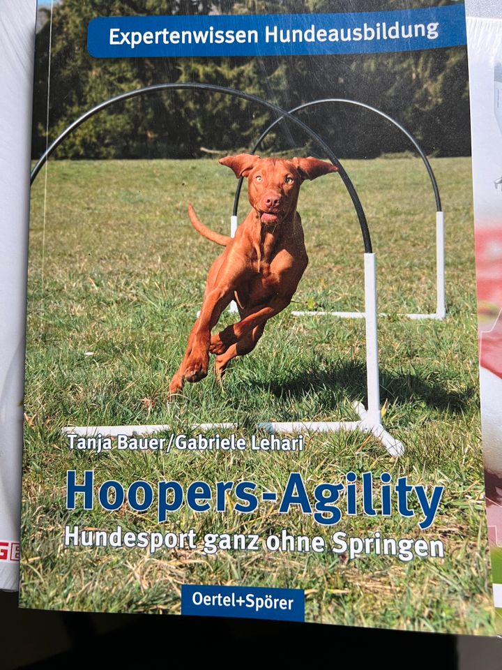 Hoopers-Agility Tanja Bauer Gabriele Lehari in Mechernich