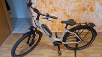 Falter E-Bike 9.0 (2023) Schleswig-Holstein - Bad Segeberg Vorschau