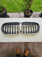 Frontgrill BMW X1 F48 Sport Line Originalteil Hessen - Kassel Vorschau