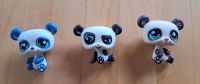 Littlest Pet Shop 3 Panda Bären Baden-Württemberg - Oberhausen-Rheinhausen Vorschau