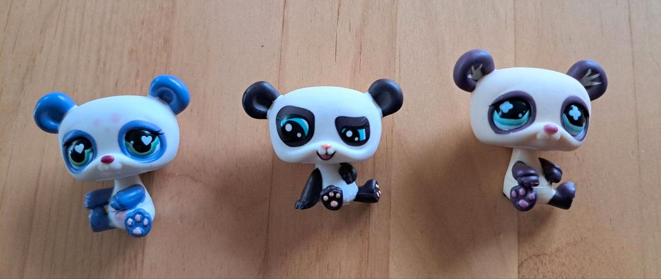 Littlest Pet Shop 3 Panda Bären in Oberhausen-Rheinhausen