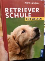 Retriever - Welpenerziehung Baden-Württemberg - Gaildorf Vorschau