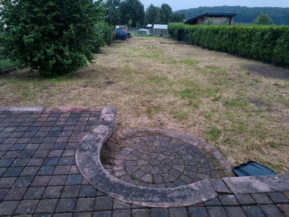 Gärtner. Biete Arbeiten rund ums Haus, Hof und Garten an in Saarbrücken