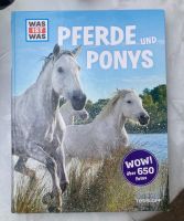 Was ist Was Bücher Tiere Pferde Haustiere Hunde Vögel Bayern - Kleinostheim Vorschau
