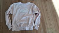 Pullover von Puma Gr. 36 Nordrhein-Westfalen - Brakel Vorschau