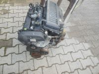 Fiesta IV / Motor / 1,25l  / DH / Guth - Meisterwerkstatt Nordrhein-Westfalen - Castrop-Rauxel Vorschau