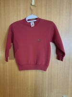 Rot Pullover Kinder  in 116 von fruit of the loom Baden-Württemberg - Böblingen Vorschau