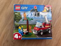 LEGO City 60212 Feuerwehr beim Grillfest Rheinland-Pfalz - Trier Vorschau