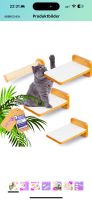 Katzen Kletterwand Set Katzenbretter für die Wand Sachsen-Anhalt - Dessau-Roßlau Vorschau