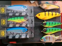 Illex Dexter Jerk 120 SP Jerkbait Wobbler Münster (Westfalen) - Geist Vorschau