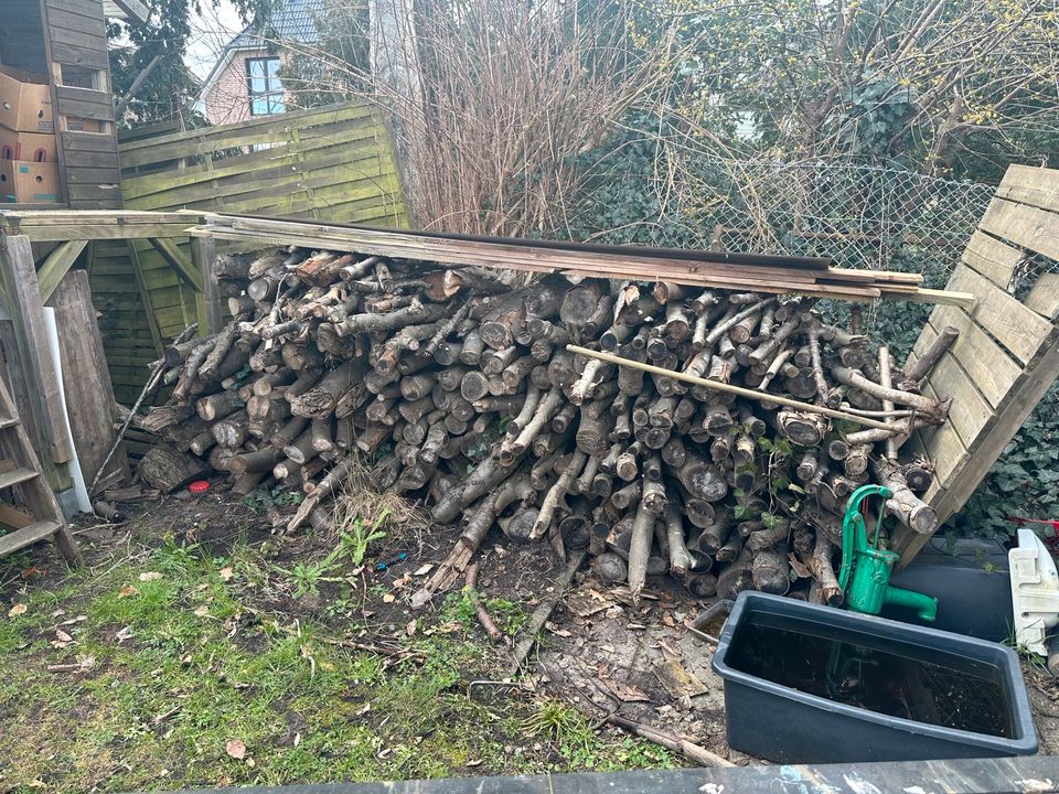 Rotbuche Feuerholz Buche Brennholz in Lübeck