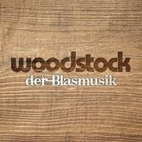 Verkaufe ein Woodstockticket (Camping& Festivalpass 27.6-30.6) Niedersachsen - Diekholzen Vorschau
