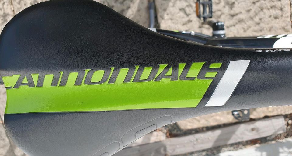 CANNONDALE HERRENRAD TRAIL SL 29 TOPZUSTAND in Eppenschlag