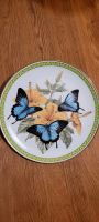 Sammelteller, Vintage,  John Wilkinson, Butterflies of the World Rheinland-Pfalz - Alzey Vorschau