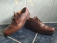 Sioux Halbschuh Schnürschuh Herren Glattleder braun Gr. 10,5 Nordrhein-Westfalen - Brakel Vorschau