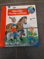 Wieso,  weshalb, warum:"Alles über Pferde und Ponys " Rheinland-Pfalz - Mainz Vorschau