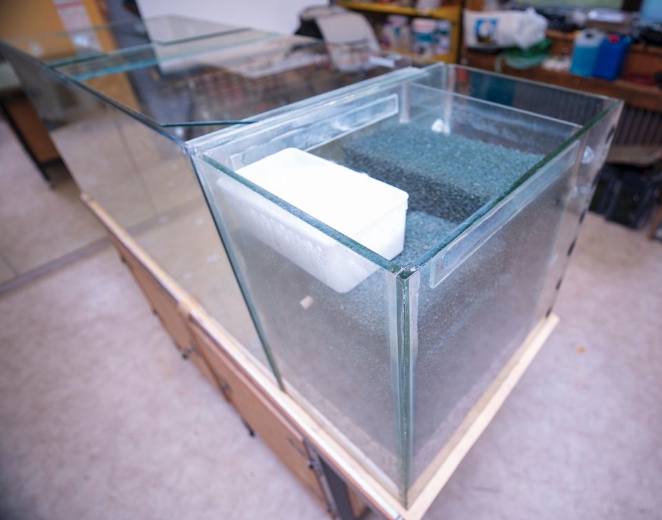 Aquarium, 420 Liter mit Unterschrank und Deckel (gebraucht) in Aichhalden
