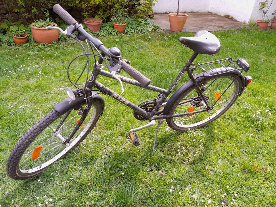 Fahrrad Damenrad in Osnabrück