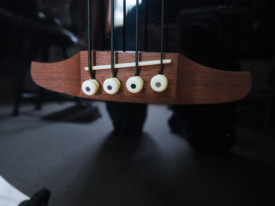 Fender Kingman Akustik Bass in Berlin