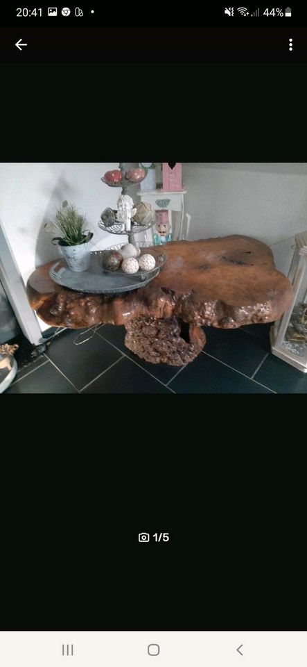 Möbel/Tisch aus baumwurzel Unikat in Porta Westfalica